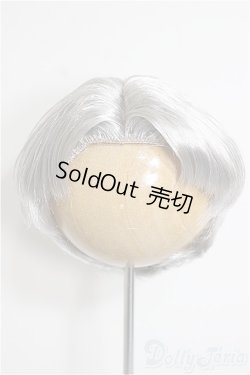 画像1: 8.5-9inch/ウィッグ/インチ　BJD　MJD　ドール用 A-25-12-03-234-NY-ZA