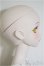 画像2: DDS2.0ボディ/DC-H-31ヘッド/BJD　球体関節人形 A-25-12-03-218-NY-ZA (2)
