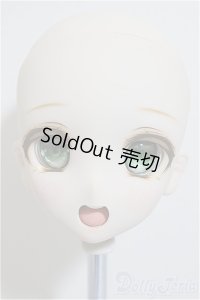 DDH-06/船長様カスタム/BJD　球体関節人形 A-25-12-03-210-NY-ZA