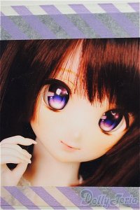 DD/DDH-06:カスタムヘッド/BJD　球体関節人形 A-25-12-03-213-NY-ZA