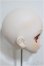 画像3: DD/DDH-06:カスタムヘッド/BJD　球体関節人形 A-25-12-03-213-NY-ZA (3)