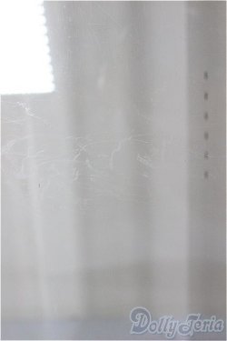 画像3: 1/6サイズ/ケース/0 A-25-12-10-134-NY-ZA