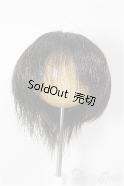 画像1: 7-8inch/ウィッグ/インチ　BJD　MJD　ドール用 A-25-12-03-372-NY-ZA