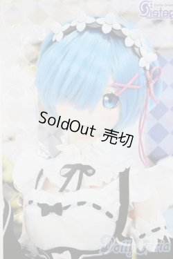 画像1: DDS/レム/BJD　球体関節人形 A-25-12-17-103-NY-ZA