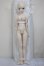 画像5: DDS/レム/BJD　球体関節人形 A-25-12-17-103-NY-ZA (5)