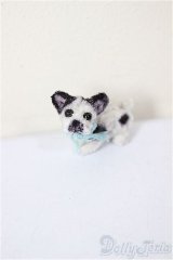 ネオブライス/OF:小物/ファッションドール　衣装 A-25-12-10-196-NY-ZA