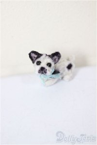 ネオブライス/OF:小物/ファッションドール　衣装 A-25-12-10-196-NY-ZA