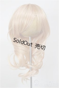 画像1: 8-9inch/ウィッグ/インチ　BJD　MJD　ドール用 A-25-12-10-234-NY-ZA