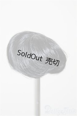 画像1: 3.5inch-4inch/ウィッグ/インチ　BJD　MJD　ドール用 A-25-12-10-250-NY-ZA