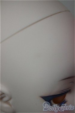 画像5: DD/カスタムヘッド/BJD　球体関節人形 A-25-12-10-260-NY-ZA