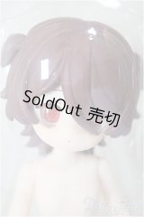 デジタルペットの仮想世界/暴れ子犬/ A-25-12-10-254-NY-ZA