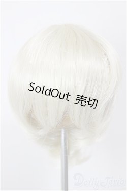 画像1: 7-8inch/ウィッグ/インチ　BJD　MJD　ドール用 A-25-12-10-203-NY-ZA