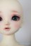 画像8: SDM女の子 ここ　スタンダードモデル/BJD　球体関節人形 A-25-12-17-101-NY-ZA (8)