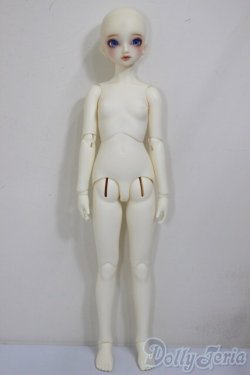 画像4: ＳＤＧＩＲＬ/フルチョイスＦ-60(ここタイプ)/BJD　球体関節人形 A-25-12-17-104-NY-ZA