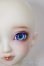 画像7: ＳＤＧＩＲＬ/フルチョイスＦ-60(ここタイプ)/BJD　球体関節人形 A-25-12-17-104-NY-ZA (7)