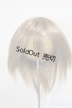 画像1: 8-9inch/ウィッグ/インチ　BJD　MJD　ドール用 A-25-12-17-228-NY-ZA