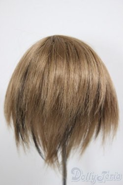 画像2: 8-9inch/ウィッグ/インチ　BJD　MJD　ドール用 A-25-12-17-228-NY-ZA