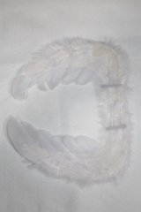 SDM/OF:羽/1/4　40ｃｍ　BJD　MJD　衣装　ドール用 A-25-12-24-040-NY-ZA