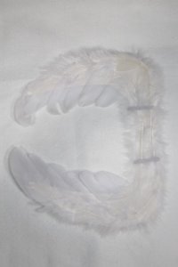 SDM/OF:羽/1/4　40ｃｍ　BJD　MJD　衣装　ドール用 A-25-12-24-040-NY-ZA