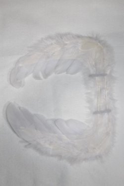 画像1: SDM/OF:羽/1/4　40ｃｍ　BJD　MJD　衣装　ドール用 A-25-12-24-040-NY-ZA