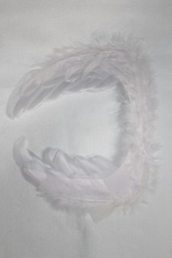 画像2: SDM/OF:羽/1/4　40ｃｍ　BJD　MJD　衣装　ドール用 A-25-12-24-040-NY-ZA