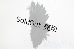 画像1: SDM/OF:羽/1/4　40ｃｍ　BJD　MJD　衣装　ドール用 A-25-12-17-241-NY-ZA