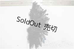 画像2: SDM/OF:羽/1/4　40ｃｍ　BJD　MJD　衣装　ドール用 A-25-12-17-241-NY-ZA