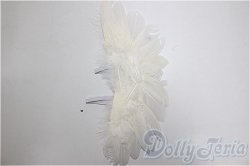 画像1: SDM/OF:羽/1/4　40ｃｍ　BJD　MJD　衣装　ドール用 A-25-12-17-244-NY-ZA