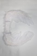 SDM/OF:羽/1/4　40ｃｍ　BJD　MJD　衣装　ドール用 A-25-12-24-039-NY-ZA