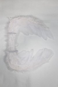 SDM/OF:羽/1/4　40ｃｍ　BJD　MJD　衣装　ドール用 A-25-12-24-039-NY-ZA