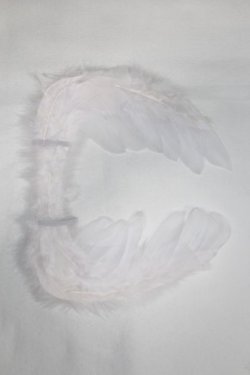 画像1: SDM/OF:羽/1/4　40ｃｍ　BJD　MJD　衣装　ドール用 A-25-12-24-039-NY-ZA