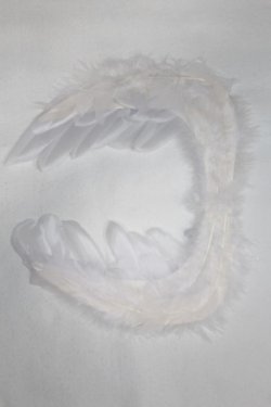 画像2: SDM/OF:羽/1/4　40ｃｍ　BJD　MJD　衣装　ドール用 A-25-12-24-039-NY-ZA