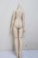 画像2: MDD/ベースボディIII/BJD　球体関節人形 A-25-12-17-198-NY-ZA (2)