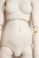 画像4: MDD/ベースボディIII/BJD　球体関節人形 A-25-12-17-198-NY-ZA (4)
