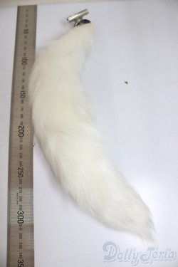 画像2: MDD/OF:尻尾/0 A-25-12-17-167-NY-ZA