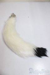 MDD/OF:尻尾/0 A-25-12-17-166-NY-ZA