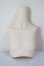 画像1: MDD/上半身パーツ/BJD　球体関節人形 A-25-12-17-111-NY-ZA (1)