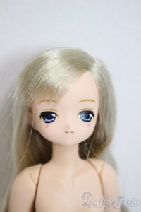 azone/えっくす☆きゅーと Secret Wonderland リアン/0 A-25-12-17-153-NY-ZA