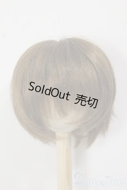 画像1: 8-9inch/ウィッグ/インチ　BJD　MJD　ドール用 A-25-12-17-149-NY-ZA