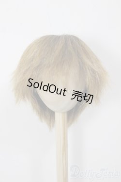 画像1: 8-9inch/ウィッグ/インチ　BJD　MJD　ドール用 A-25-12-17-146-NY-ZA