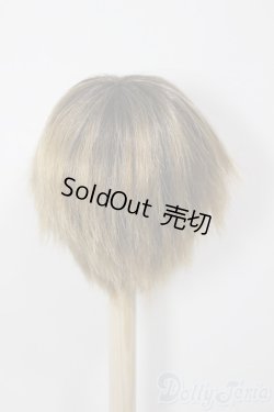 画像2: 8-9inch/ウィッグ/インチ　BJD　MJD　ドール用 A-25-12-17-146-NY-ZA