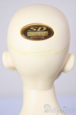 画像5: SD17男の子/キリコ/BJD　球体関節人形 A-25-12-24-101-NY-ZA