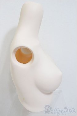 画像2: DD/上半身パーツ・M胸/0 A-25-12-17-340-NY-ZA