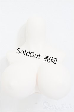 画像1: DDdyIII-B-01/上半身パーツ-普通胸/0 A-25-12-17-339-NY-ZA