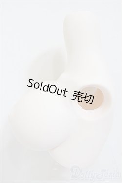 画像4: DDdyIII-B-01/上半身パーツ-普通胸/0 A-25-12-17-338-NY-ZA