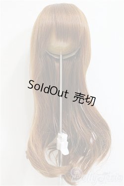 画像1: 9-10inch/ウィッグ/インチ　BJD　MJD　ドール用 A-25-12-17-335-NY-ZA