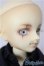 画像3: 幼SD/ちび東京少年物語 南条勲/BJD　球体関節人形 A-25-12-24-201-NY-ZA (3)