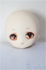 パラボックス/ヒカリ 着彩ヘッド/ A-25-12-24-371-NY-ZA