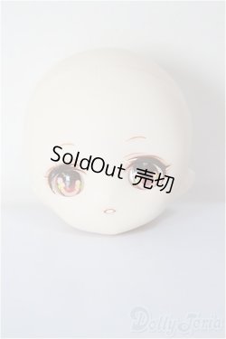 画像1: パラボックス/ヒカリ 着彩ヘッド/ A-25-12-24-371-NY-ZA