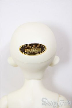 画像6: SDM女の子/コーディネートモデルF-48/BJD　球体関節人形 A-26-1-4-201-NY-ZA